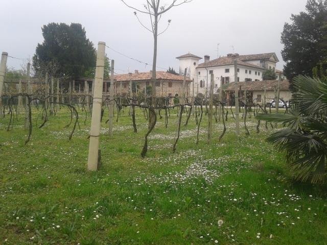 Alloggio Agrituristico Conte Ottelio Pradamano Exterior foto